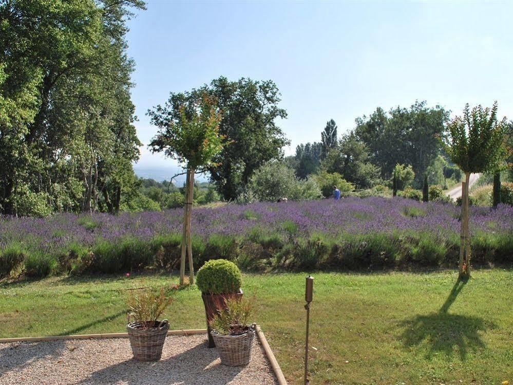 Domaine Le Bois Des Dames Chantemerle-lès-Grignan Exterior foto